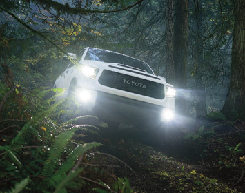 2020 Tundra TRD Pro
