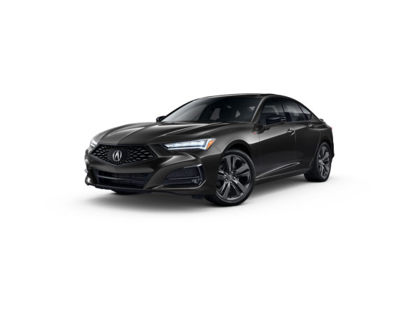 Vehicle Gallery Images